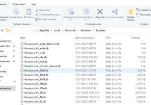 Что это за файл Thumbs.db? Можно ли его удалить?